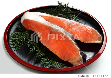鮭 13464172