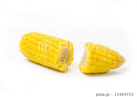 Boiled corn isolated on white Boiled corn isolated on white 13464725