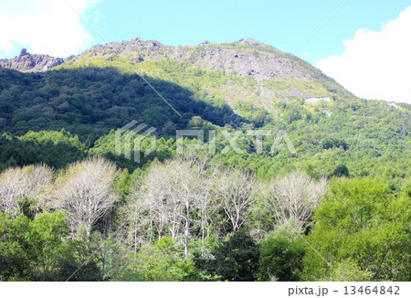 真夏の北海道、洞爺湖畔の燃える緑と険しい山肌を見せる有珠山 13464842