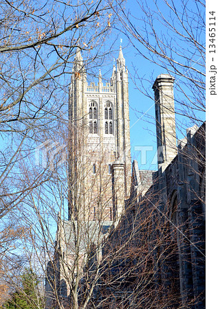 Princeton University 13465114