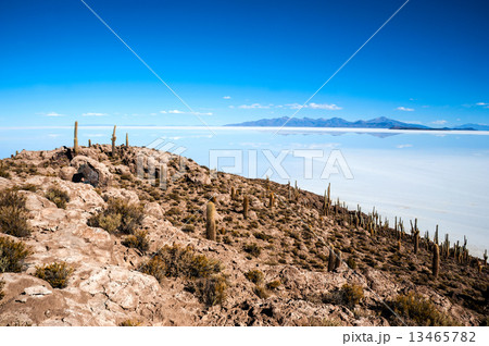 Salt lake - Salar de Uyuni in Bolivia Salt lake - Salar de Uyuni in Bolivia 13465782