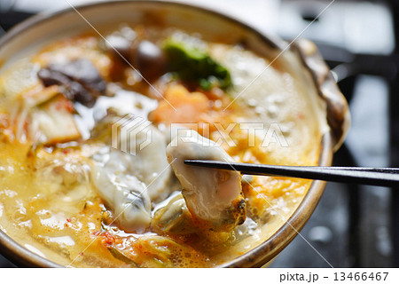 牡蠣鍋 キムチ鍋 韓国風 辛い 牡蠣鍋 キムチ鍋 韓国風 辛い 13466467