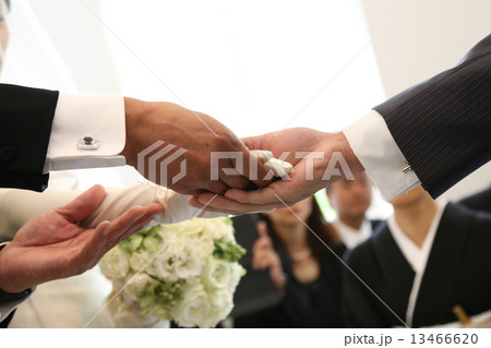 引き継ぎ 13466620