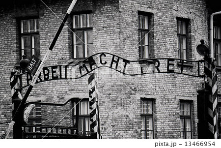 アウシュビッツ 13466954