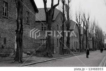 アウシュビッツ 13466955