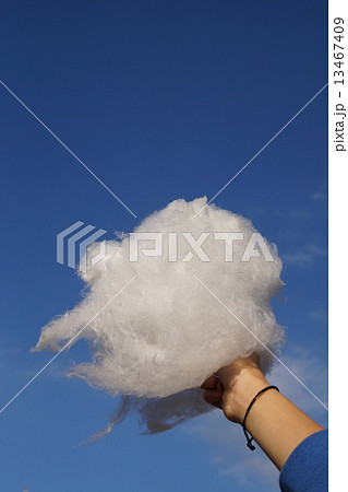 わたあめ 13467409