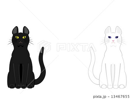 白猫と黒猫のイラスト素材