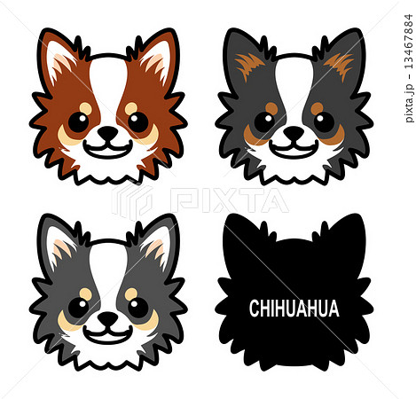 チワワの顔５のイラスト素材