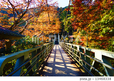 御岳渓谷　寒山寺に続くつり橋 13468338