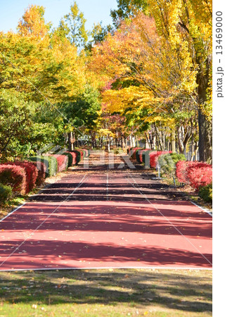 小布施総合公園 小布施総合公園 13469000