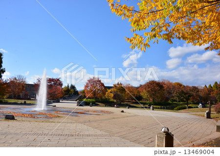 小布施総合公園 小布施総合公園 13469004