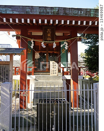 亀戸天神・花園社 13469987