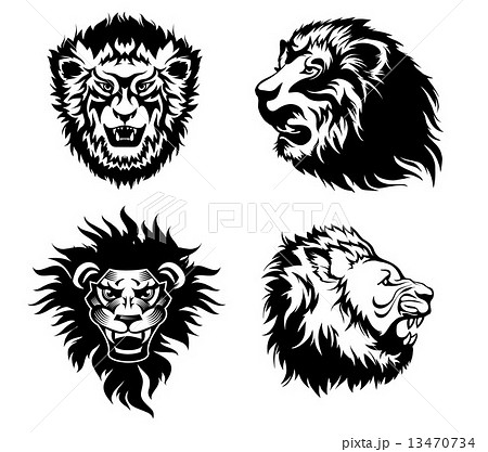 Growling Lion Tattooのイラスト素材