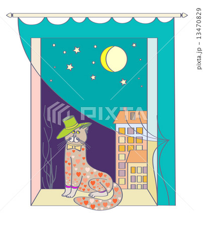 night tomcat 13470829