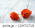 Physalis on a white wooden background 13471718