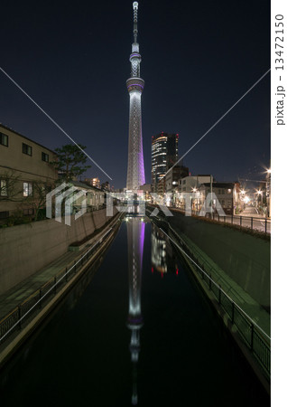 逆さツリー(冬雅) 13472150