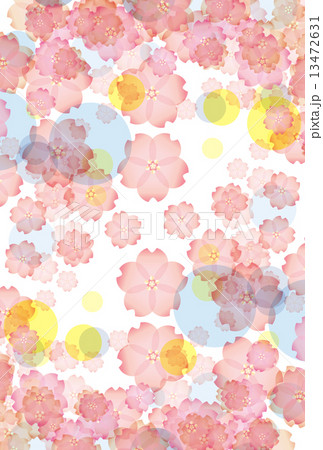 桜 桜の木 桜の花びら 桜 桜の木 桜の花びら 13472631
