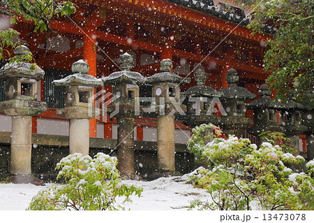 雪景色 春日大社の石灯籠 雪景色 春日大社の石灯籠 13473078