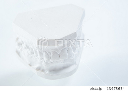 Gypsum model of human jaw on a white background. Gypsum model of human jaw on a white background. 13473634