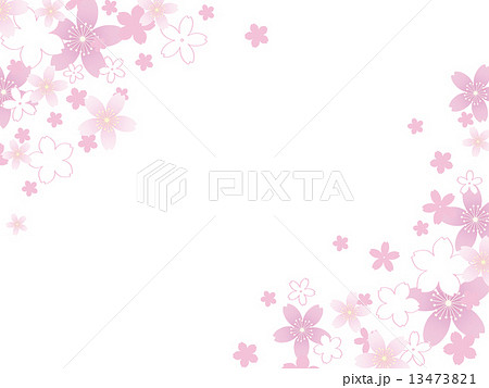 桜吹雪 桜吹雪 13473821