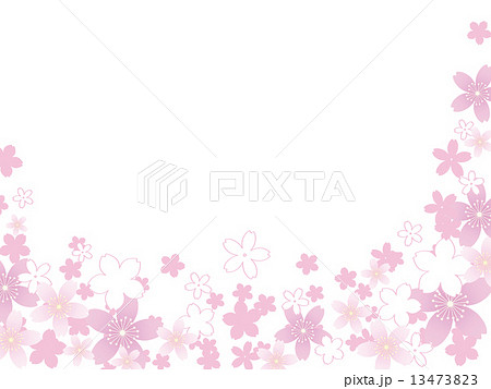 桜吹雪 13473823