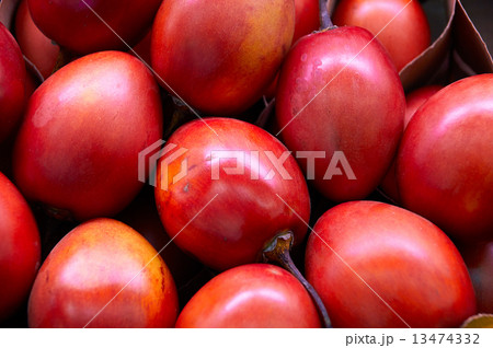 New Zealand evergreen tree fruit vegetable, Tamarillo 13474332