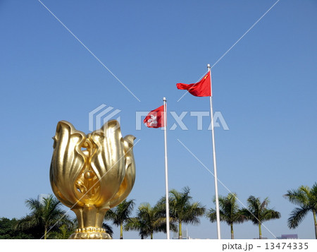 金紫荊籬塑 金紫荊籬塑 13474335