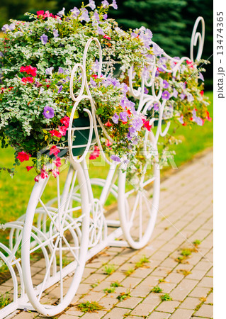 White Decorative Bicycle Parking In Garden 13474365