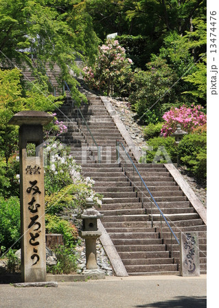 三室戸寺 三室戸寺 13474476