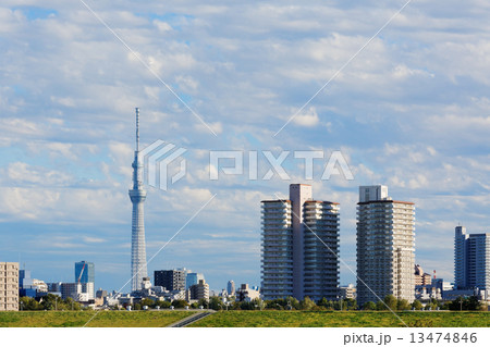 青空が広がる川の手住宅街と東京スカイツリー 13474846