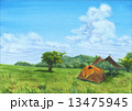 高原の夏 13475945