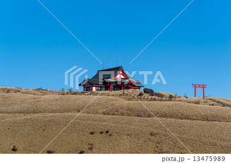 箱根元宮 箱根元宮 13475989