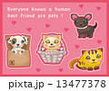 pets 13477378