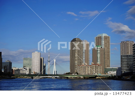 1月都市の風景・街並み657東京スカイツリーと佃大橋 1月都市の風景・街並み657東京スカイツリーと佃大橋 13477423