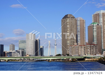 1月都市の風景・街並み658東京スカイツリーと佃大橋 1月都市の風景・街並み658東京スカイツリーと佃大橋 13477424