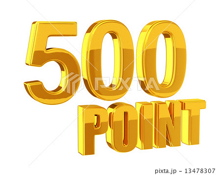 ポイントサービス  500POINT 13478307