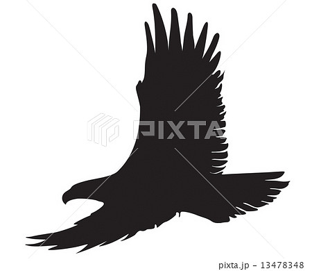 Eagle Silhouetteのイラスト素材 13478348 Pixta