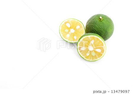 スダチ スダチ 13479097