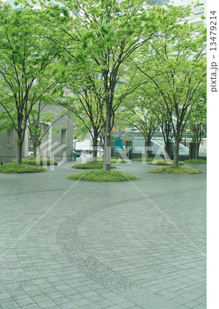 大阪の憩いの場 13479214
