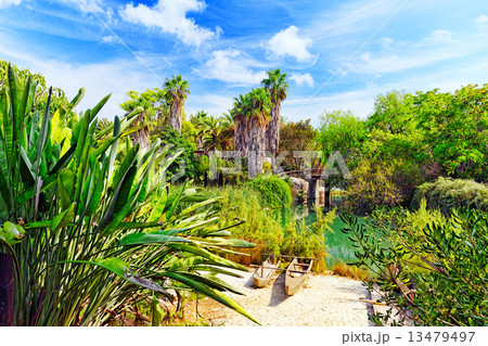 Beautiful landscape of humid tropical jungle. 13479497