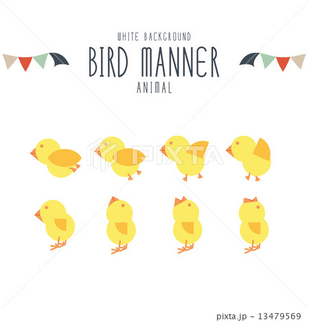 Movements illustration of birds vector on white background. 13479569