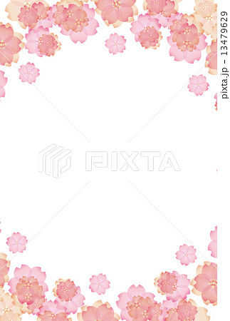 桜 桜の花 春 背景 枠のイラスト素材