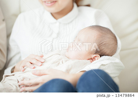 three month old 13479864