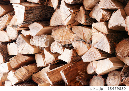 Woodpile from dry oak logs. 13479880