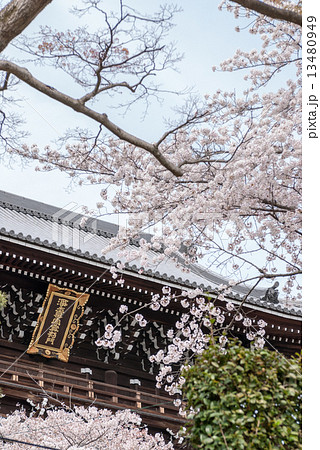 くろ谷　金戒光明寺　山門 13480949