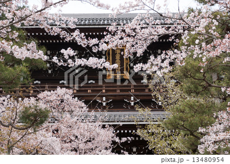 くろ谷　金戒光明寺　山門 13480954