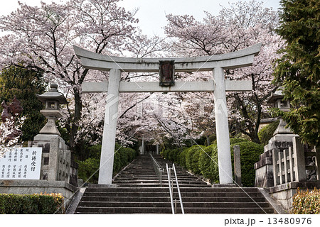 宗忠神社 13480976