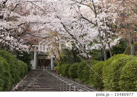 宗忠神社 13480977