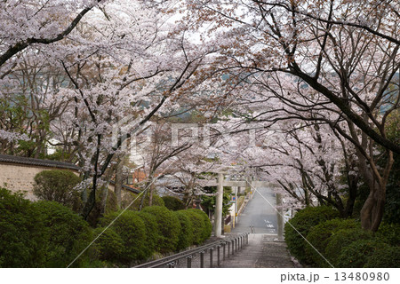 宗忠神社 13480980