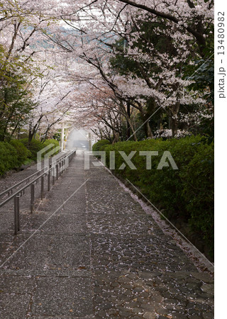宗忠神社 宗忠神社 13480982